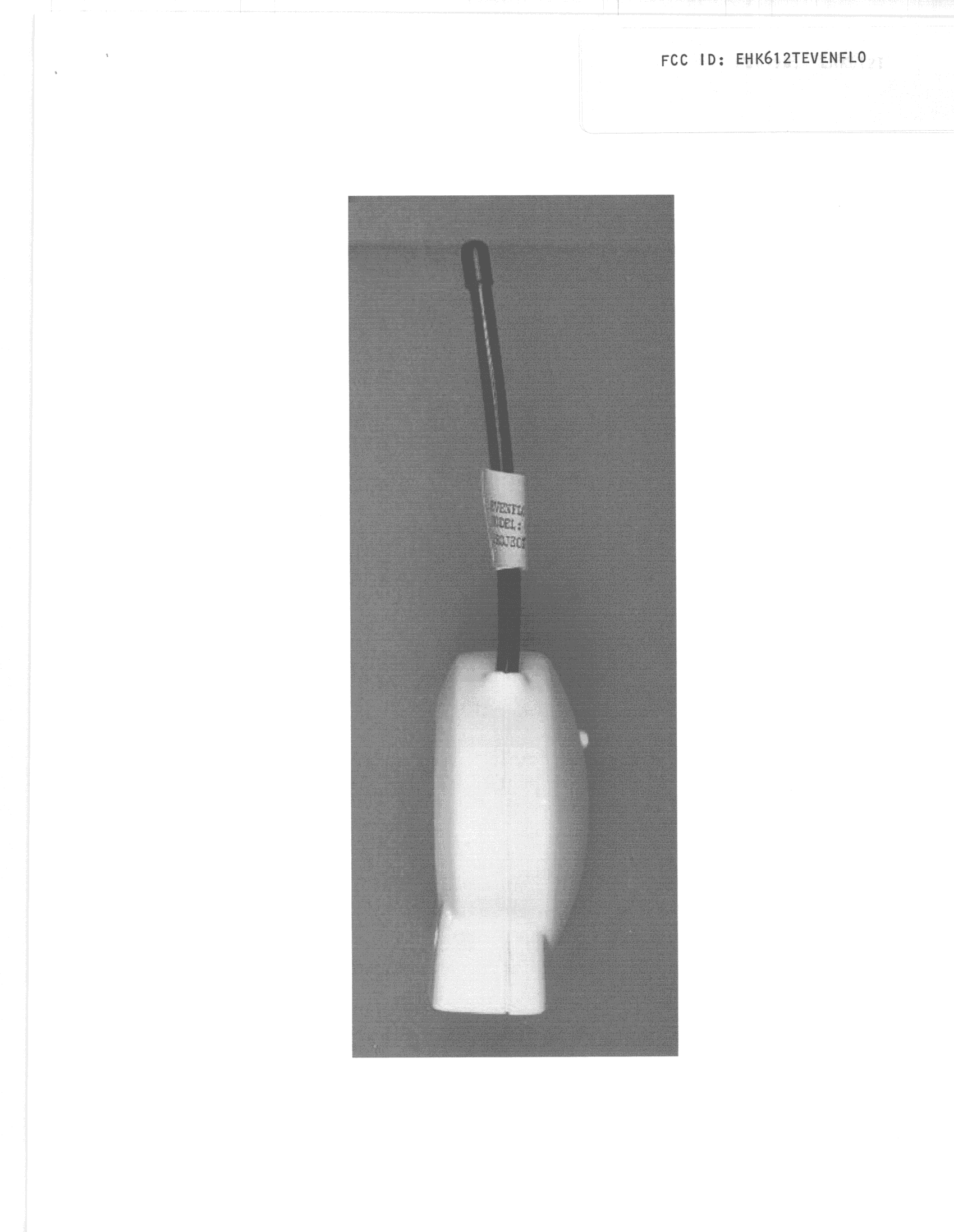 Monitor - FCC ID EHK612TEVENFLO - Evenflo Company, Inc. (2)