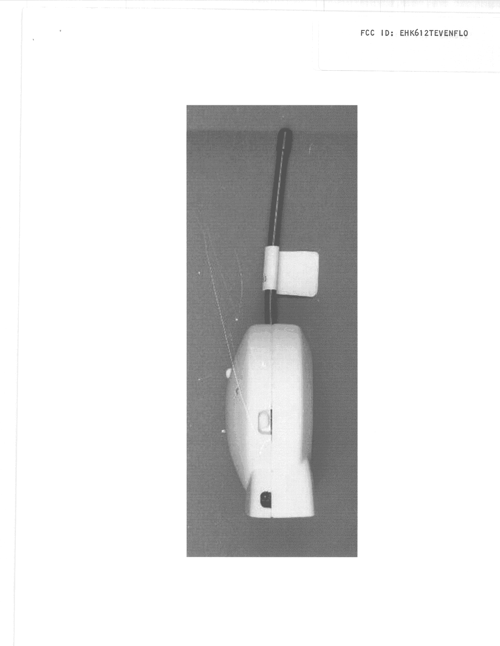 Monitor - FCC ID EHK612TEVENFLO - Evenflo Company, Inc.