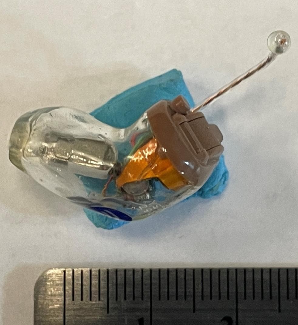 Genesis AI - FCC ID EOA-24GENCICZN - Starkey Laboratories Inc
