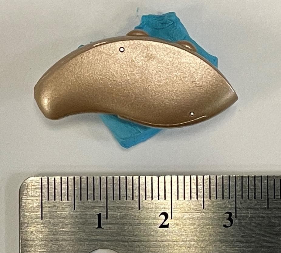 Genesis AI - FCC ID EOA-24GENR312 - Starkey Laboratories Inc