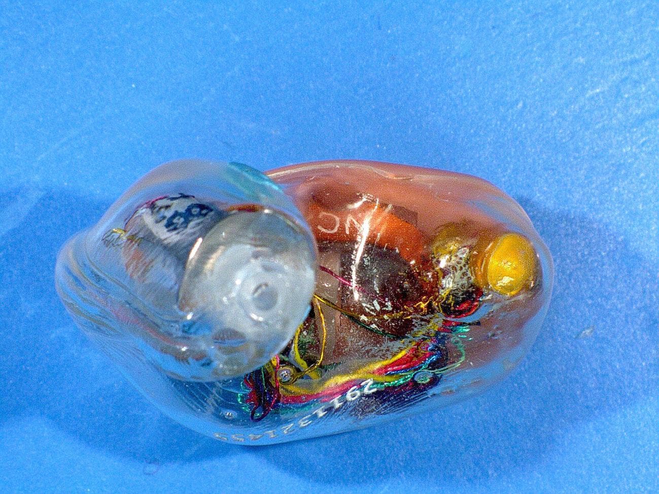 Hearing Aid - FCC ID EOA-EXPCUSTOM - Starkey Laboratories Inc (2)