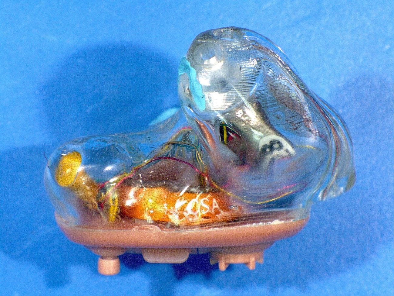 Hearing Aid - FCC ID EOA-EXPCUSTOM - Starkey Laboratories Inc (3)