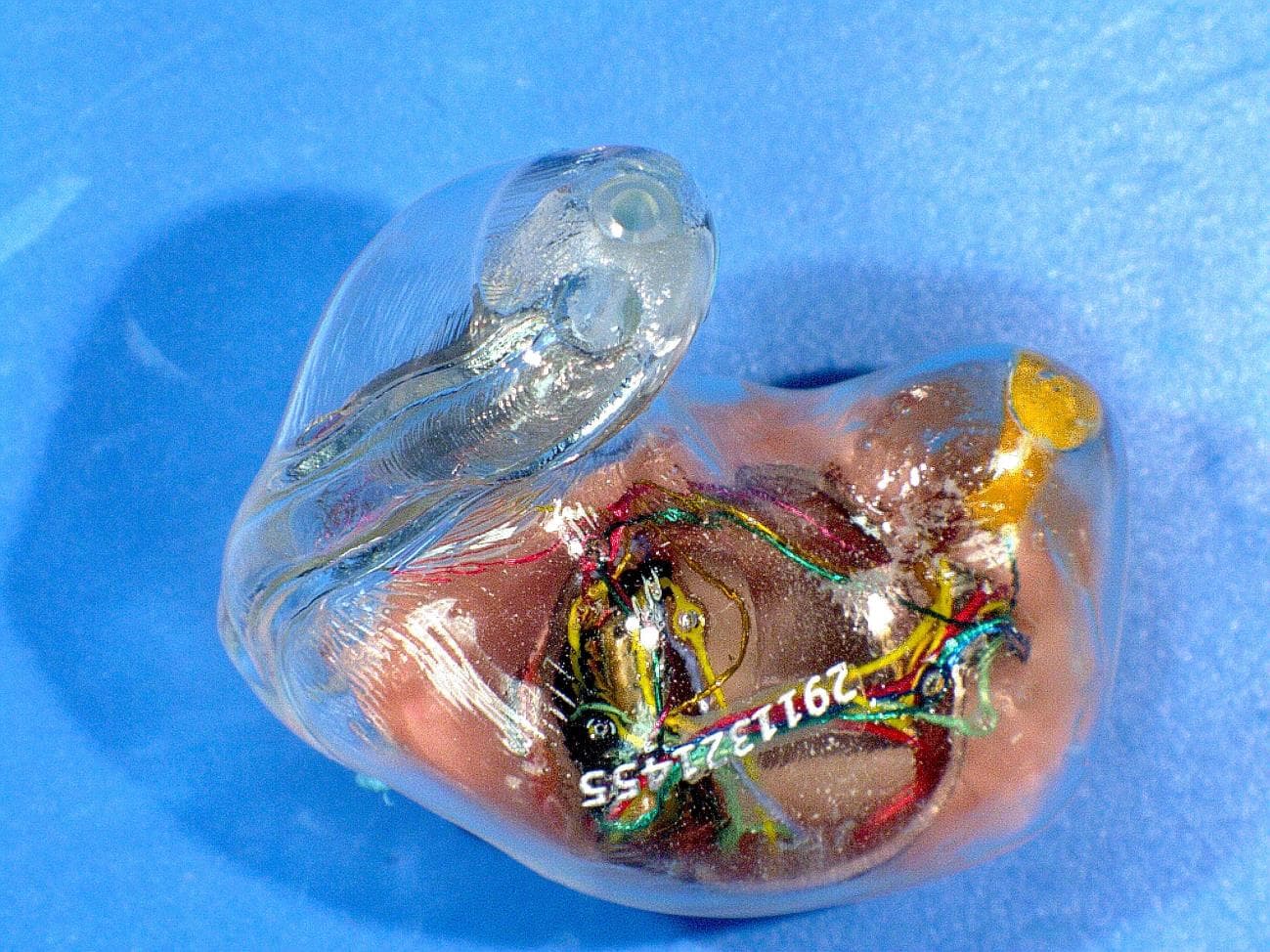 Hearing Aid - FCC ID EOA-EXPCUSTOM - Starkey Laboratories Inc