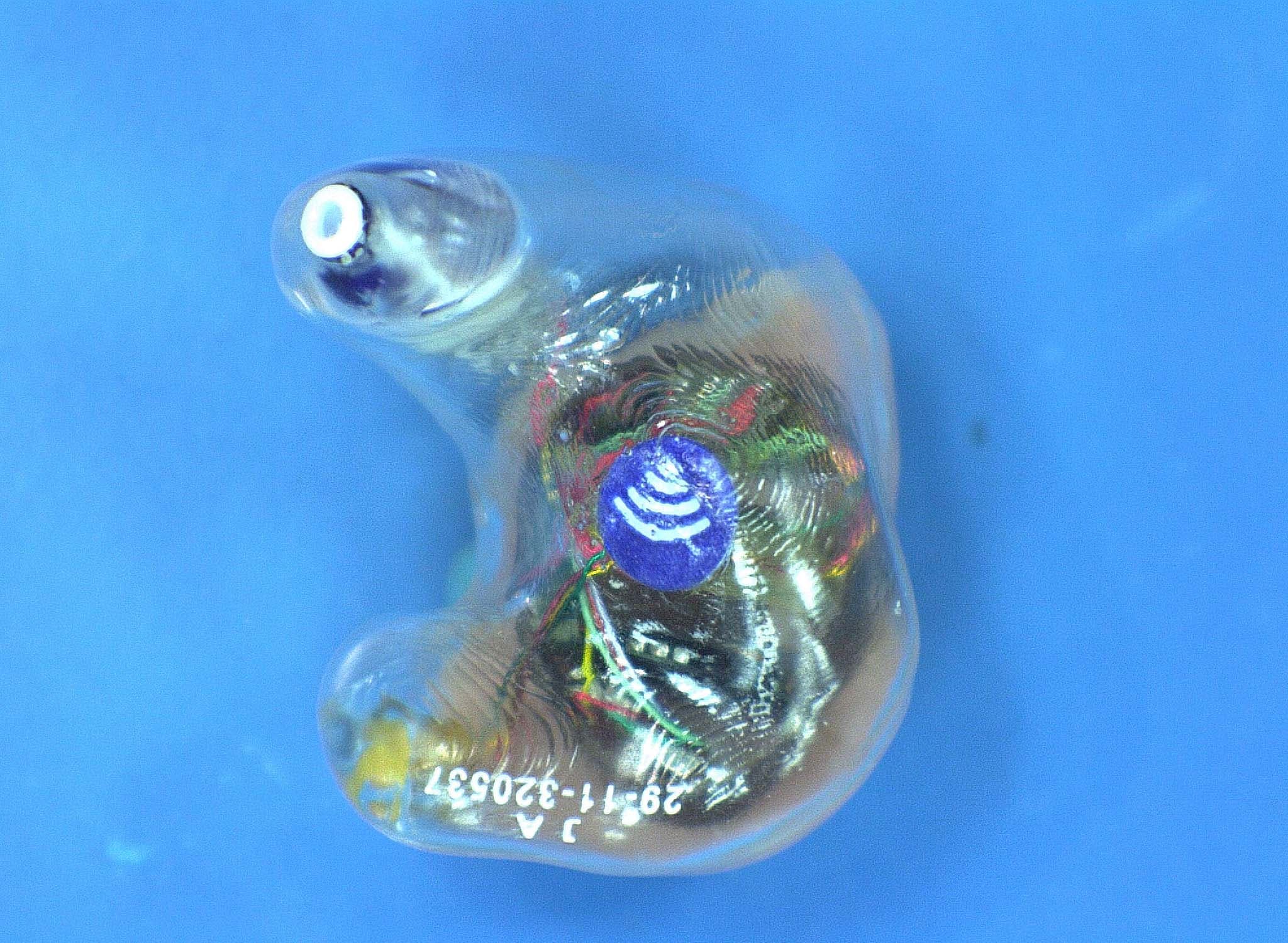 Hearing Aid - FCC ID EOA-ZSERIES-HA - Starkey Laboratories Inc (2)