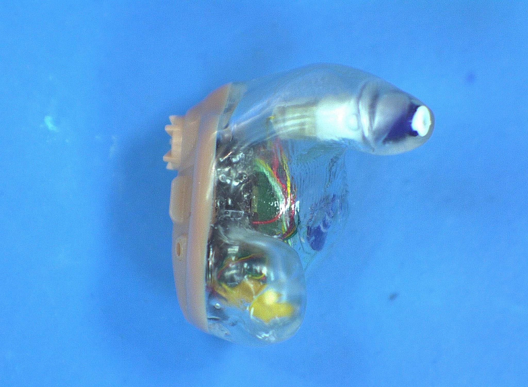 Hearing Aid - FCC ID EOA-ZSERIES-HA - Starkey Laboratories Inc (4)