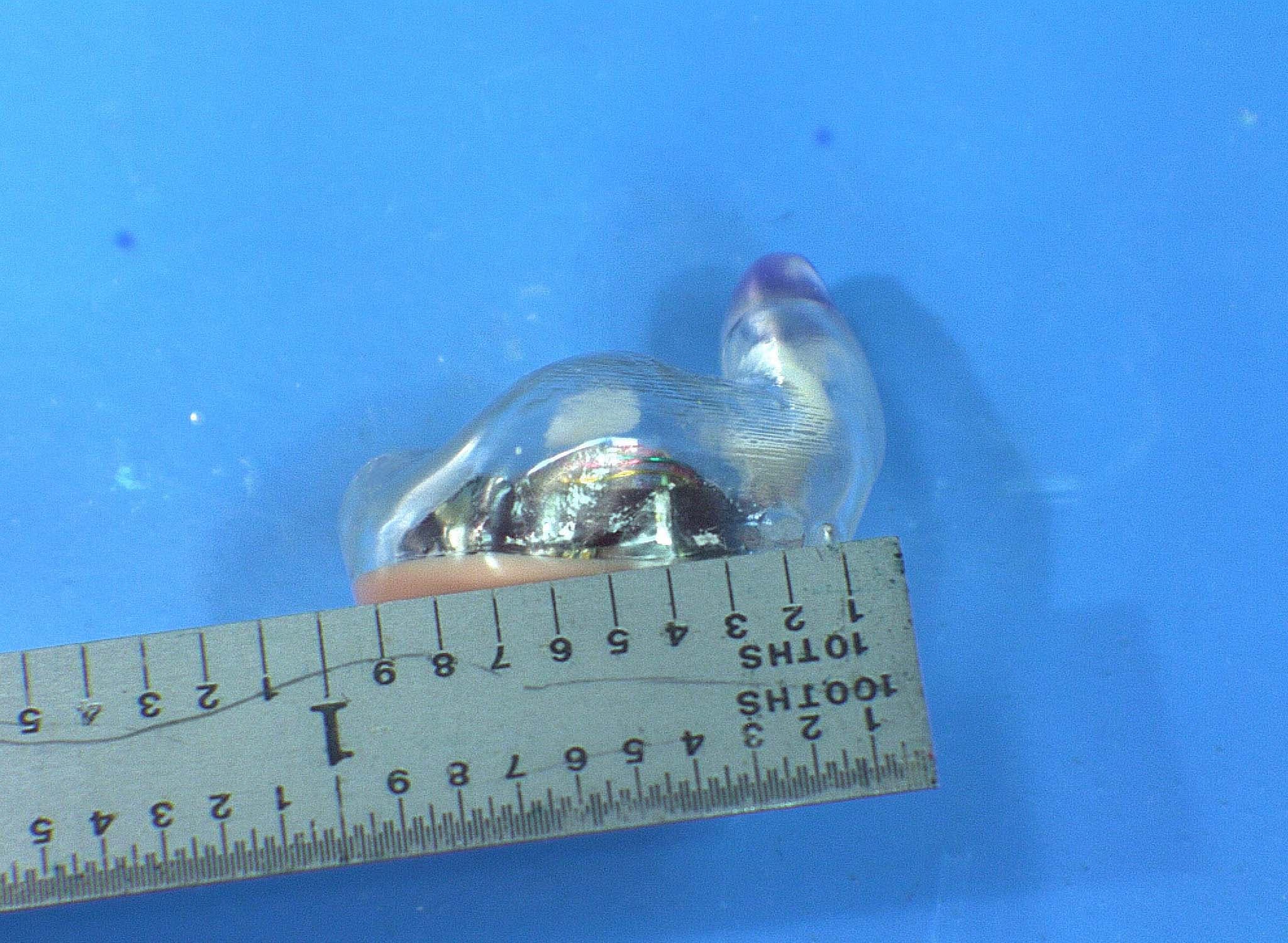 Hearing Aid - FCC ID EOA-ZSERIES-HA - Starkey Laboratories Inc