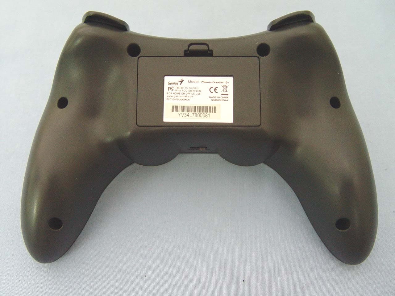 Wireless Grandias 12V - FCC ID FSUGG000D - KYE SYSTEMS CORP. (1)