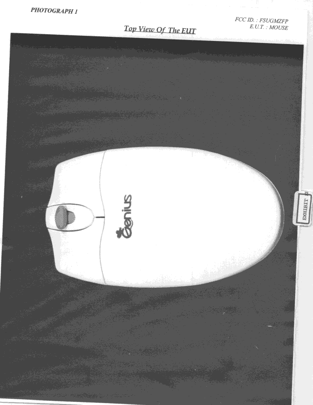 DXX - Part 15 Low Power Communication Device Transmitter - FCC ID FSUGMZFP - KYE SYSTEMS CORP. (2)