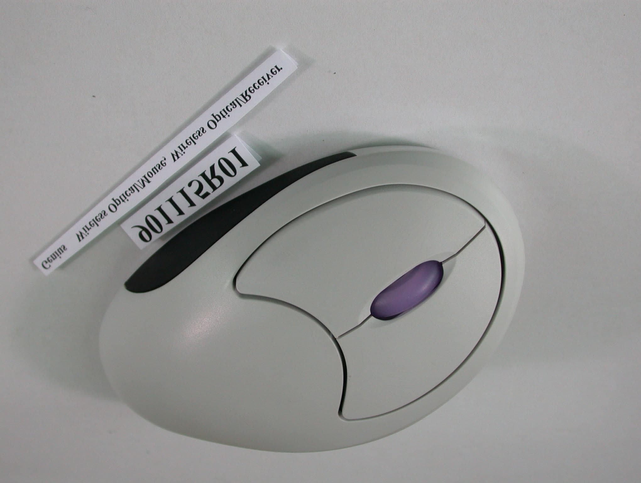 Wireless Optical Mouse - FCC ID FSUGMZGD - KYE SYSTEMS CORP. (1)