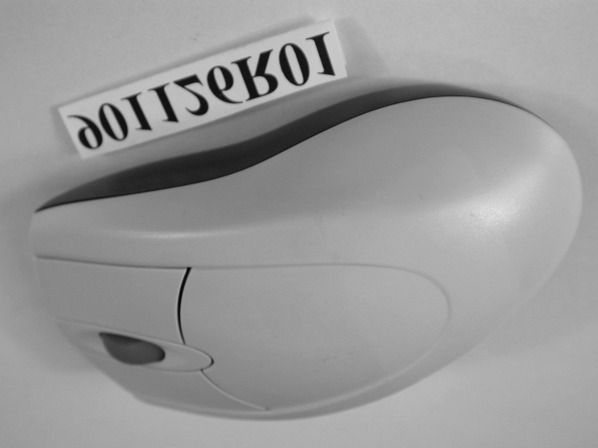 Wireless Mouse - FCC ID FSUGMZGE - KYE SYSTEMS CORP. (2)