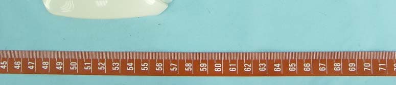 Bluetooth Mini Mouse - FCC ID FSUGMZH4 - KYE SYSTEMS CORP.