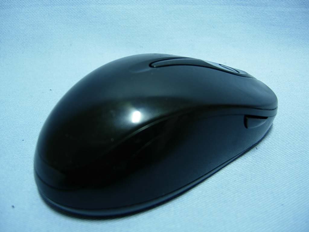 Traveler T925 Laser - FCC ID FSUGMZIB - KYE SYSTEMS CORP. (2)