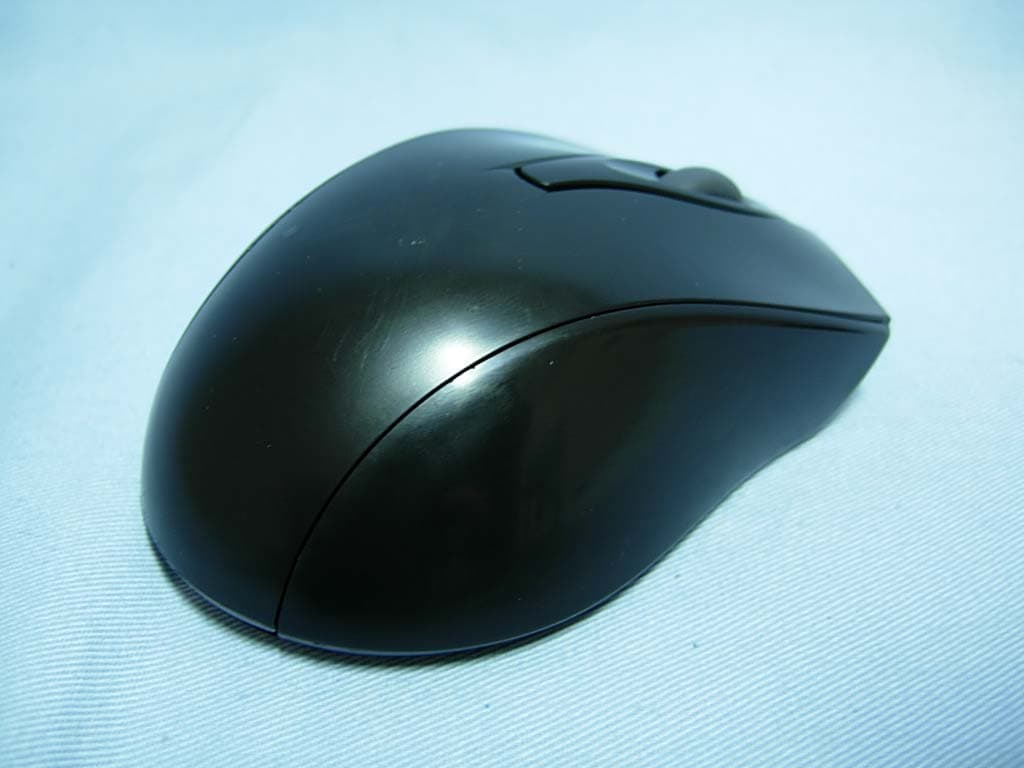 Ergo 725 Laser - FCC ID FSUGMZID - KYE SYSTEMS CORP. (2)