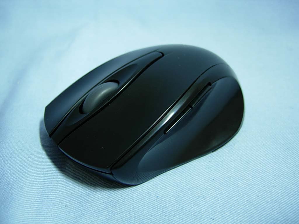 Ergo 725 Laser - FCC ID FSUGMZID - KYE SYSTEMS CORP. (1)