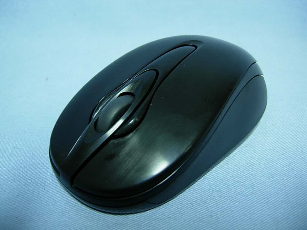 Traveler 620 Laser - FCC ID FSUGMZIE - KYE SYSTEMS CORP. (1)