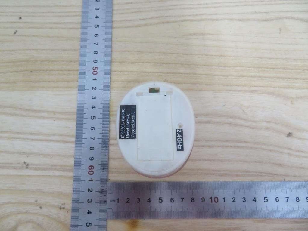 TOY Transmitter - FCC ID G6D6423HC - New Bright Industrial Co Ltd (3)