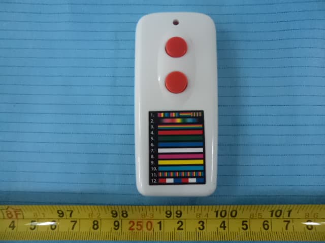 Wireless Remote Control - FCC ID GPO1002013 - GEMMY INDUSTRIES (HK)LIMITED BVI