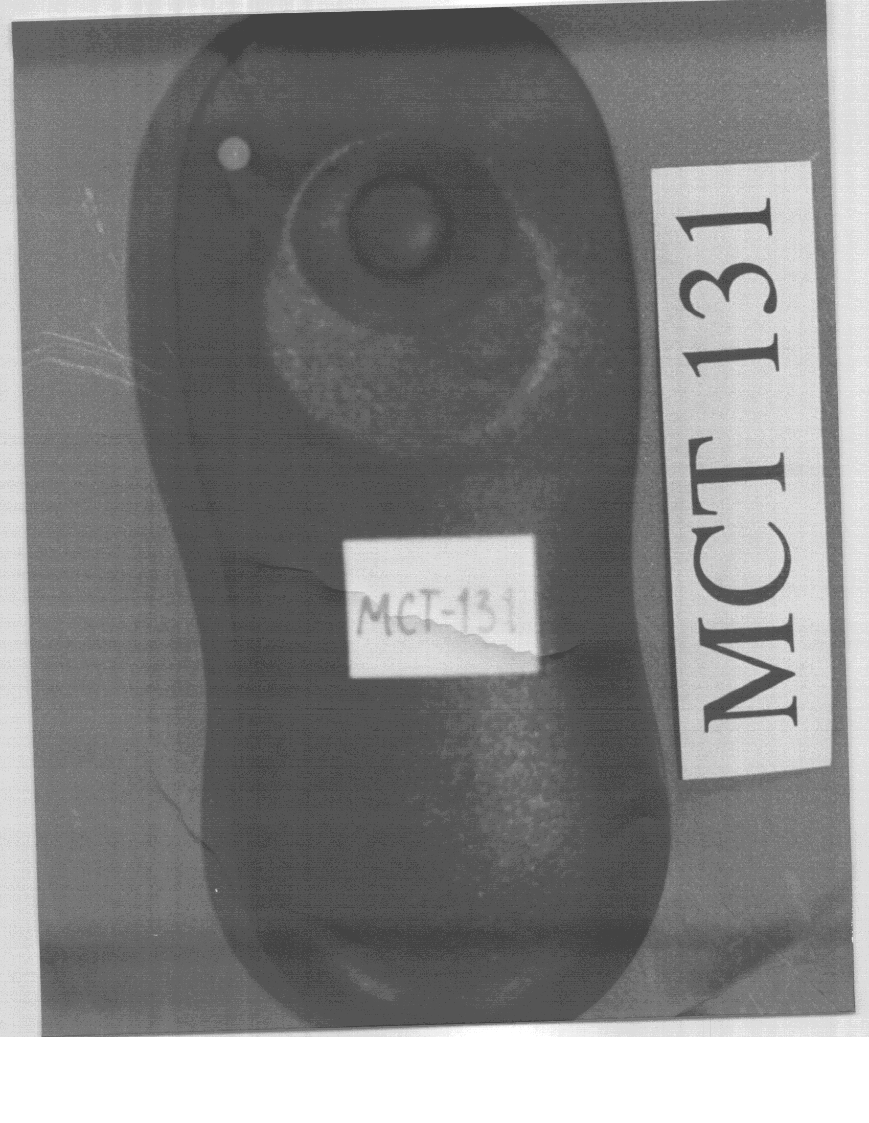 DSC - Part 15 Security/Remote Control Transmitter - FCC ID GSAMCT134 - Visonic Inc. (2)
