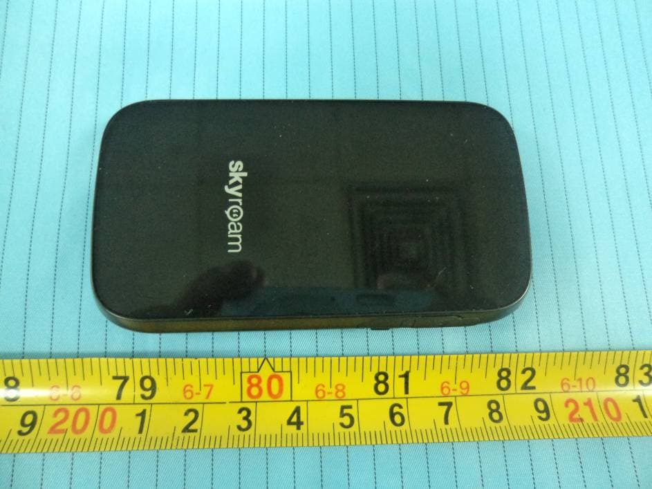 Mobile Terminal - FCC ID GVQGMATE2012 - Skyroam Technology Co., Ltd.