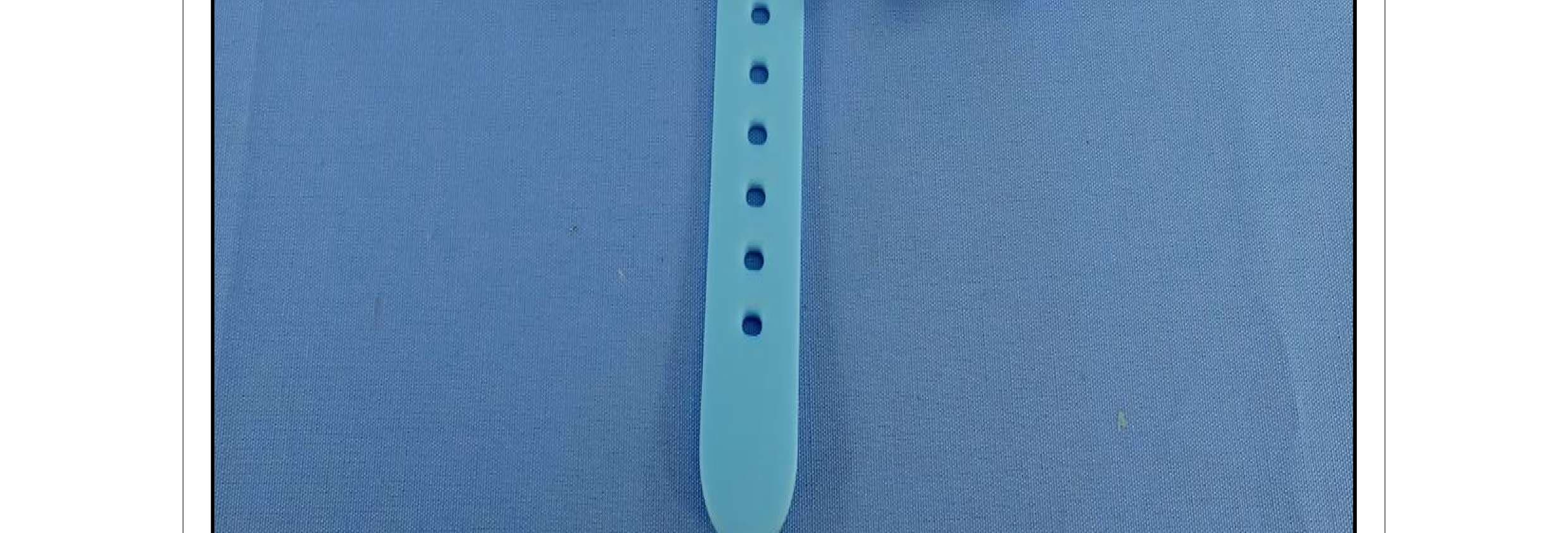 Smart Watch - FCC ID HFS-GW03 - Quanta Computer Inc