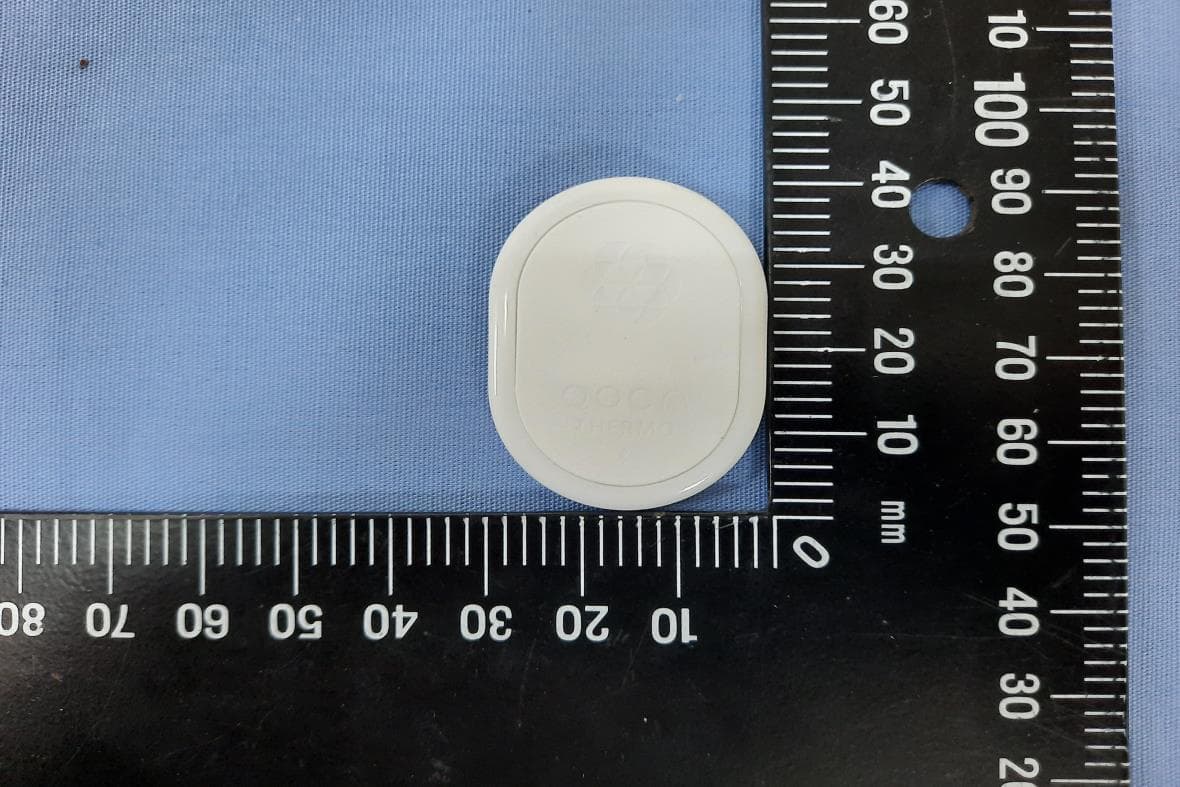 Q-temp-w1 - FCC ID HFSMH8 - Quanta Computer Inc