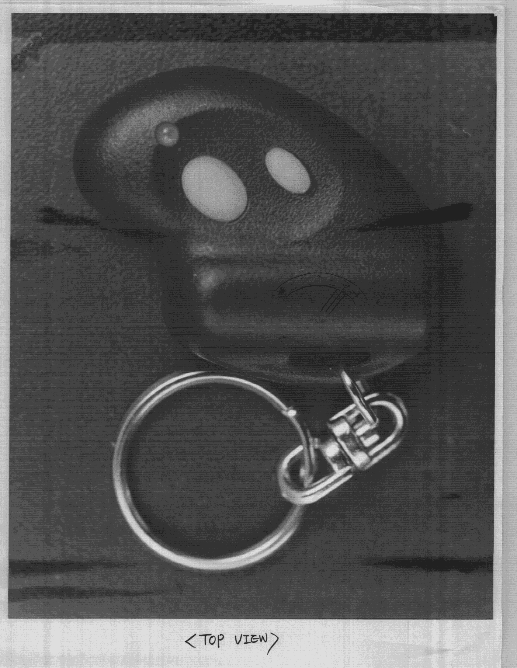 Automobile Security System - FCC ID HH8-DYHOP200-TX - Dong Yang Security Electronics Co (2)