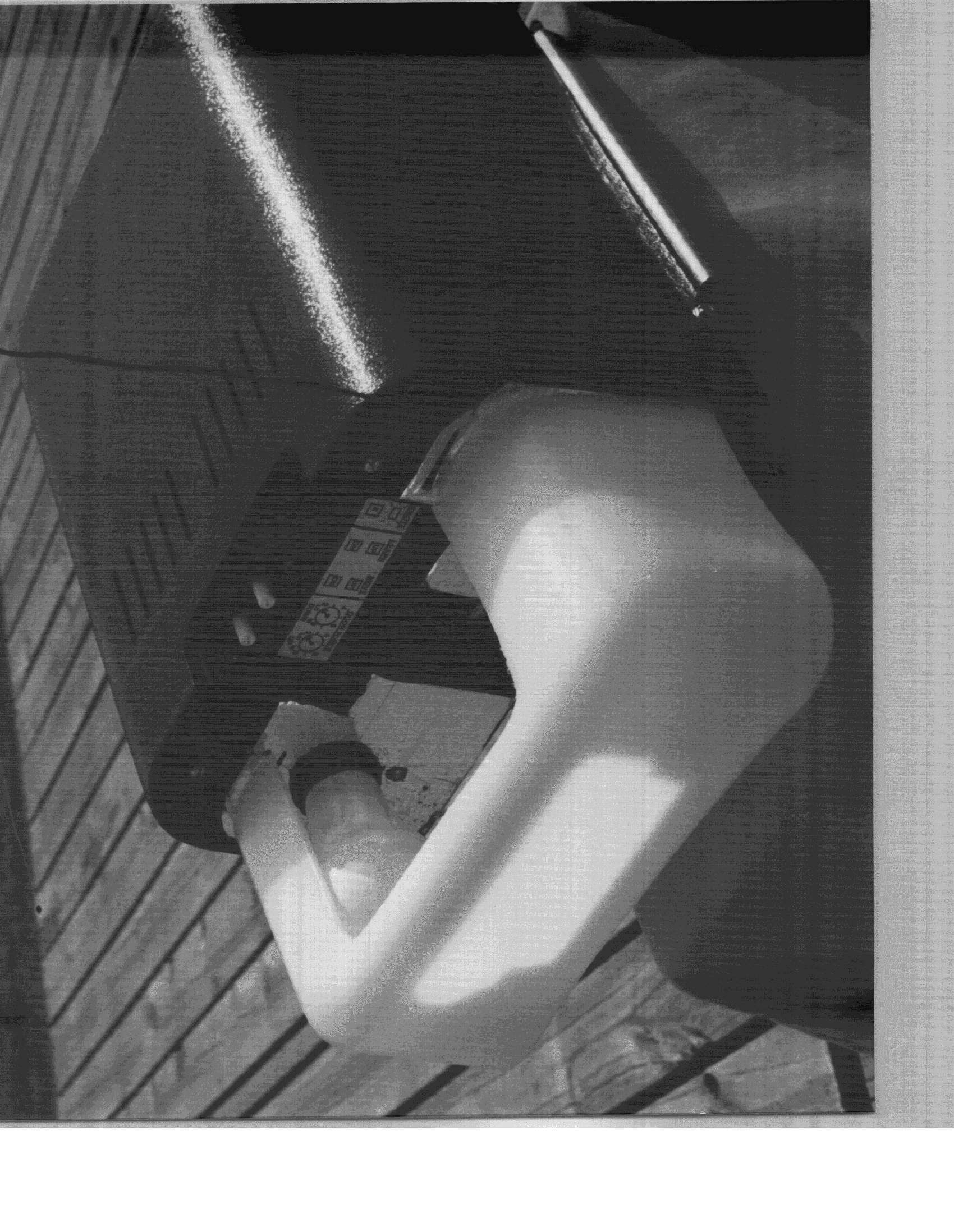 Garage Door Opener Receiver - FCC ID HSX100R - The Whistler Group