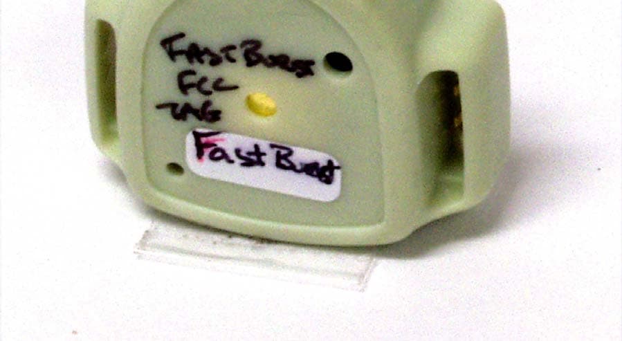 Infant Tag - FCC ID ISEH2H - Xmark Corporation