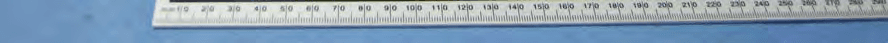 Revell 2.4G 2 channel Radio System - FCC ID IYFTX24203 - Hobbico Inc (4)