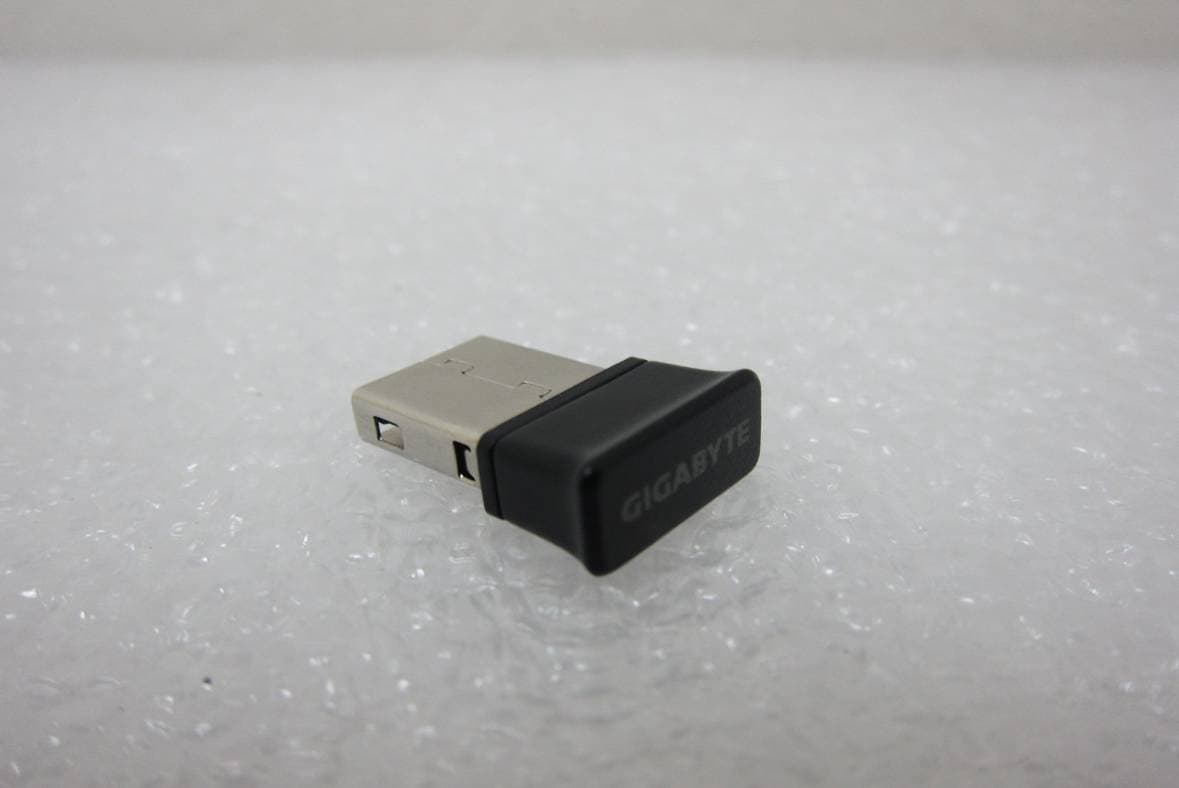 Wireless Reveiver - FCC ID JCK28713M73RX - GIGA-BYTE TECHNOLOGY CO., LTD. (2)