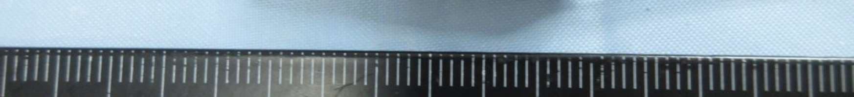 HyperX Cloud Buds - FCC ID JIC-CEB002 - Kingston Technology Company (3)