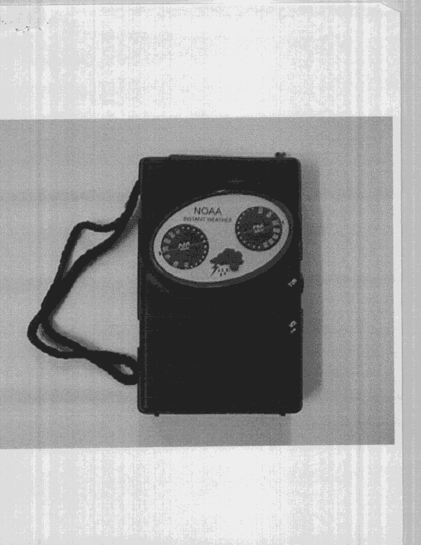 AM/FM Weather band - FCC ID JPT1997 - Dubri Electronics Co. Ltd. (3)