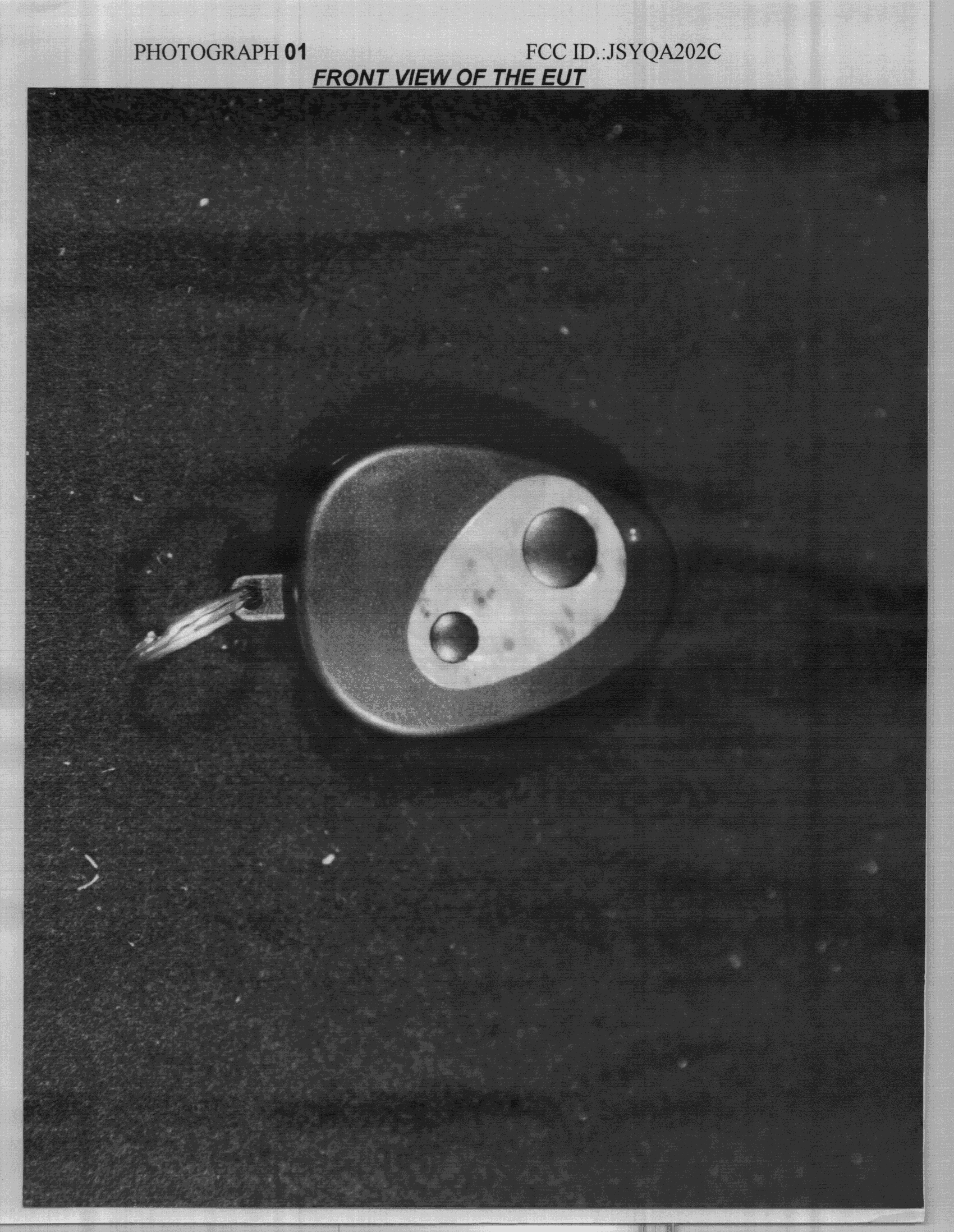 Car Alarm Transmitter - FCC ID JSYQA202C - Tech Cast Mfg Corp (2)