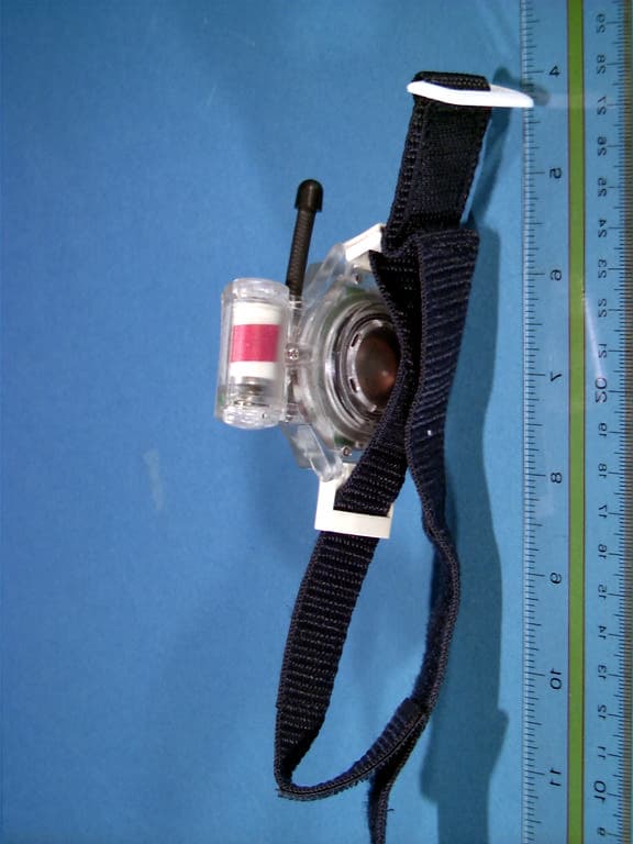 2-Way Portable FM Wrist-worn Radio Transceiver (FR - FCC ID KNZ48413 - DSI (HK) Ltd (4)