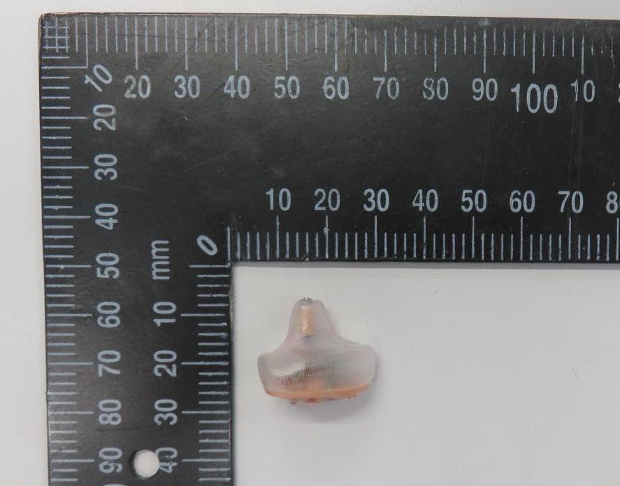 Hearing aid with wireless connectivity - FCC ID KWC-IND - Sonova USA Inc.