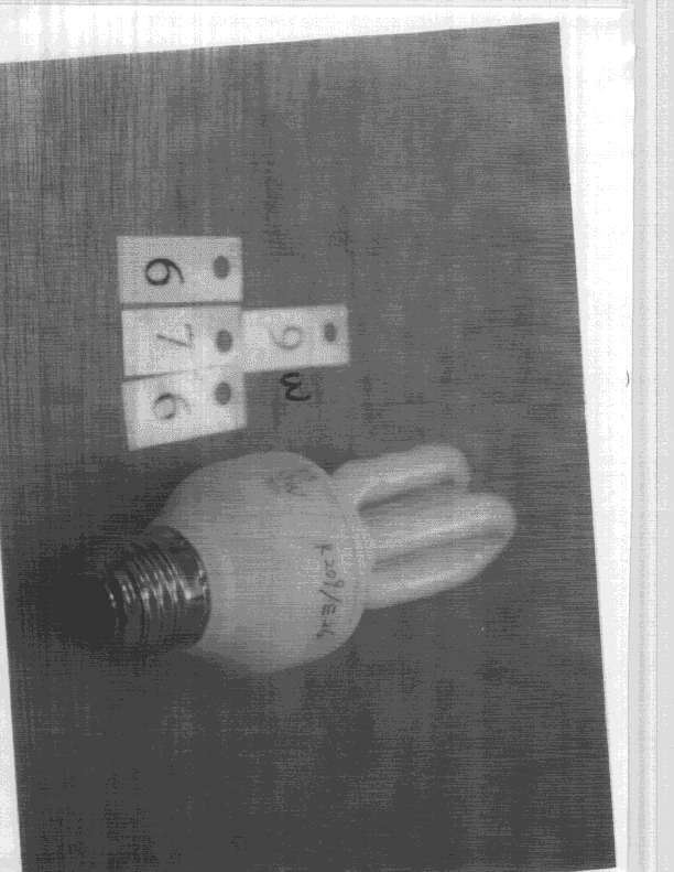 R F Light - FCC ID L2ALC60915 - Neonlite Electronic & Lighting (H.K.) Ltd.