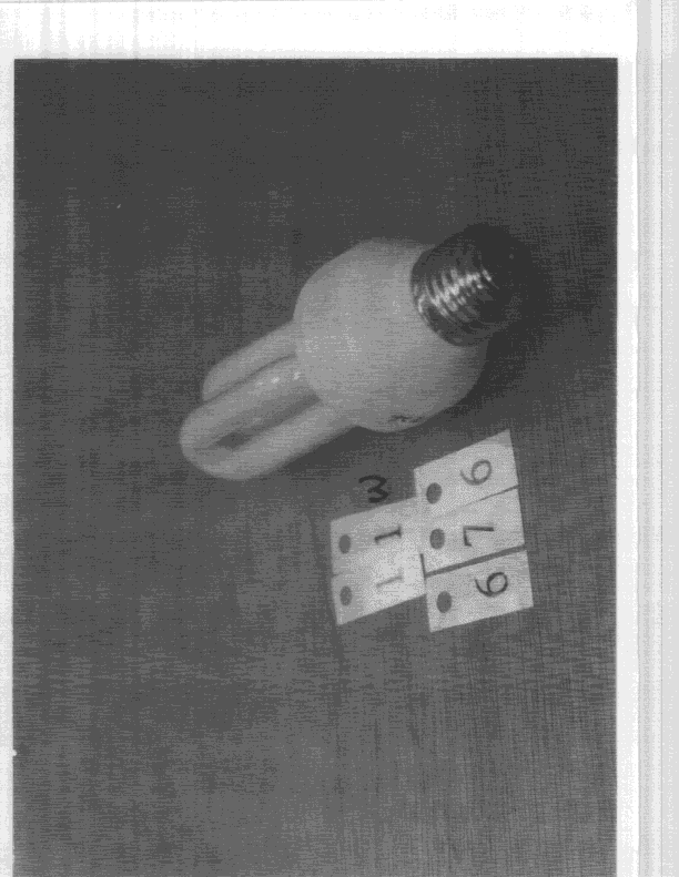 R F Light - FCC ID L2ALC60915 - Neonlite Electronic & Lighting (H.K.) Ltd. (3)