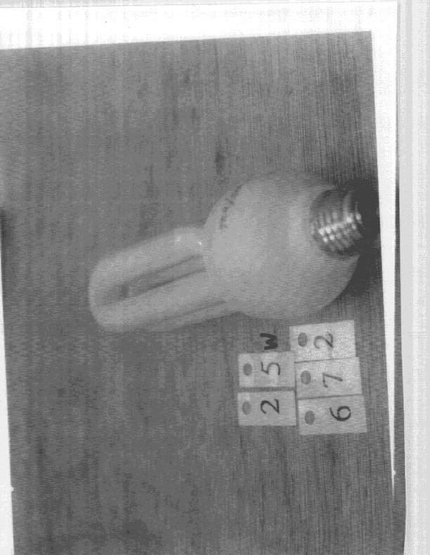 R F Light - FCC ID L2ALC61527 - Neonlite Electronic & Lighting (H.K.) Ltd. (2)