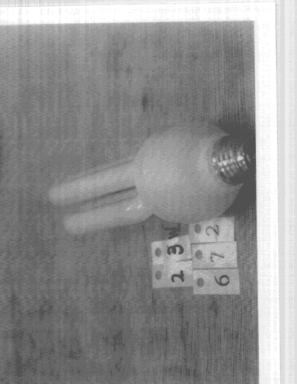 R F Light - FCC ID L2ALC61527 - Neonlite Electronic & Lighting (H.K.) Ltd. (3)