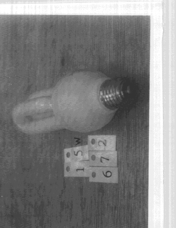 R F Light - FCC ID L2ALC61527 - Neonlite Electronic & Lighting (H.K.) Ltd. (4)