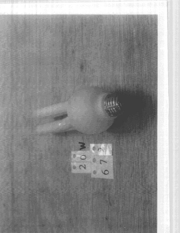 R F Light - FCC ID L2ALC61527 - Neonlite Electronic & Lighting (H.K.) Ltd.