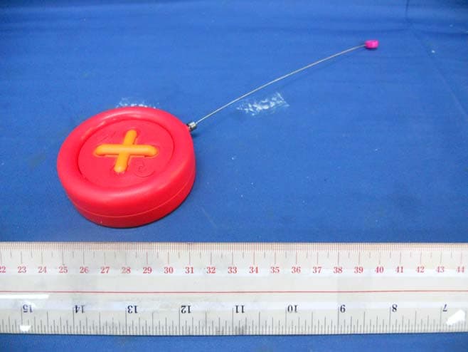Mini Lalaloopsy RC Car (49MHz) - FCC ID LU9513049 - MGA Entertainment (HK) Ltd.