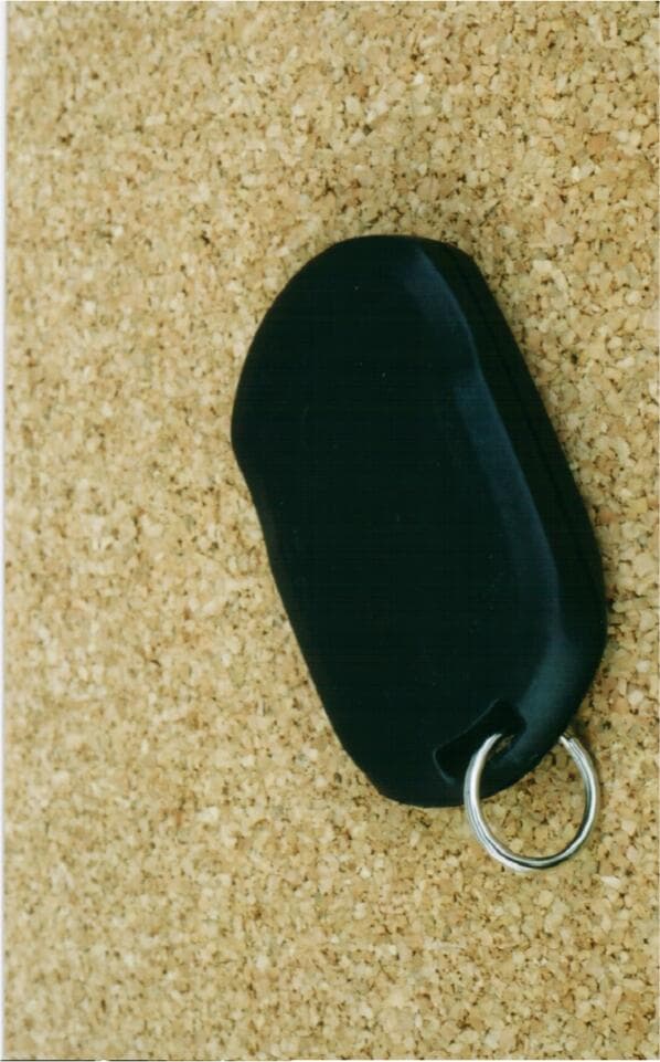 Customer Identification Device - FCC ID M3N-65981401 - Continental Automotive Systems, Inc. (3)