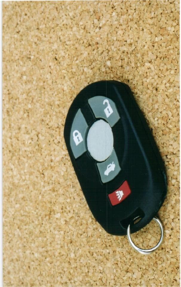 Customer Identification Device - FCC ID M3N-65981401 - Continental Automotive Systems, Inc. (1)