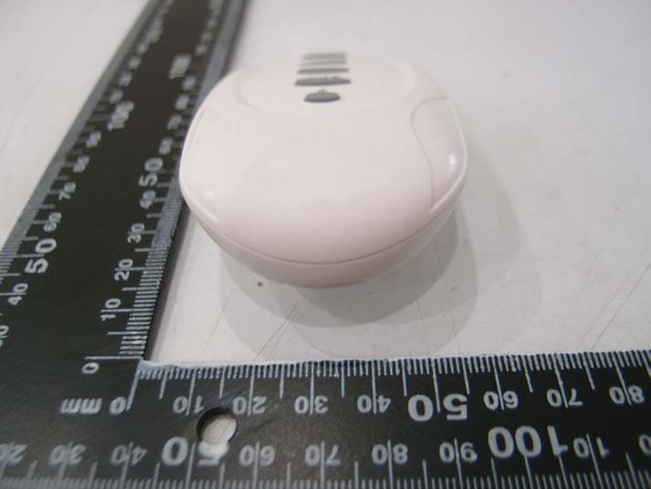 Transmitter - FCC ID M8CTP36RF315 - Fego Precision Industrial Co Ltd (2)