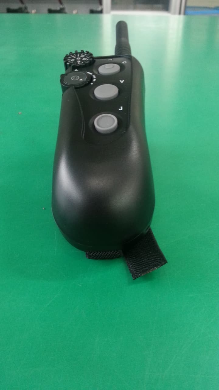 remote control for a canine training collar - FCC ID M8YRAPT - DT Systems Inc (4)