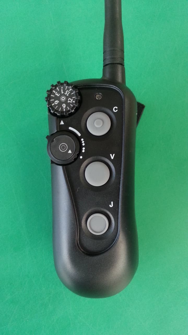 remote control for a canine training collar - FCC ID M8YRAPT - DT Systems Inc (2)