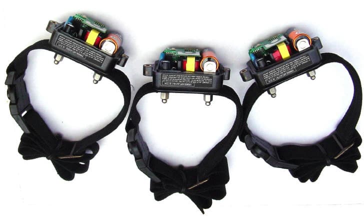 Dog Collars - FCC ID M8YULTRA2000RX - DT Systems Inc (4)