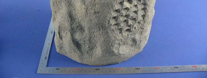 900 MHz Wireless Indoor/Outdoor Rock Speaker - FCC ID MVASP1192B-001R - Uni-Art Precise Products Ltd (4)