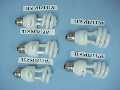 Electronic Energy Saving Lamp - FCC ID N6AFJEE0109 - Fujian Joinluck Electronic Enterprise Co., LTD.